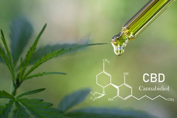 Navigating the Benefits: A Comprehensive Guide to Full Spectrum CBD Oil in Canada